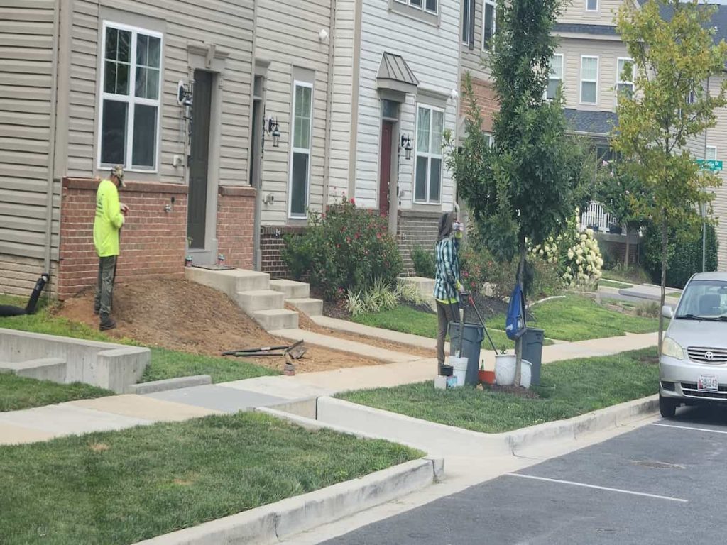 Commercial Landscaping