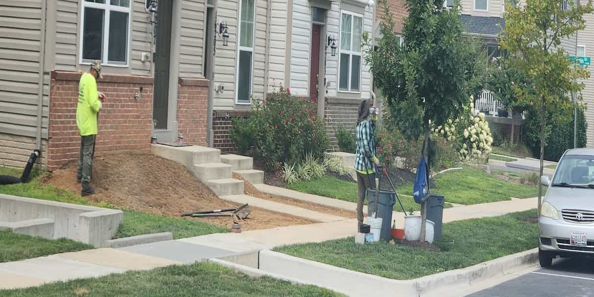 Commercial Landscaping