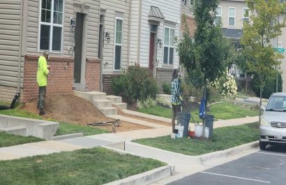 Commercial Landscaping