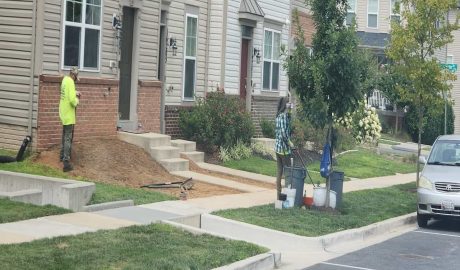 Commercial Landscaping