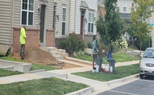 Commercial Landscaping