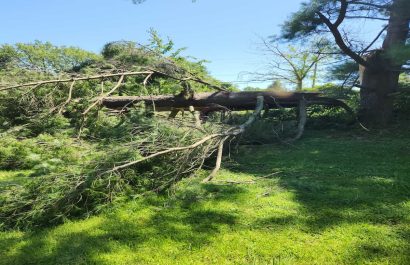 Emergency Storm Clean-Ups