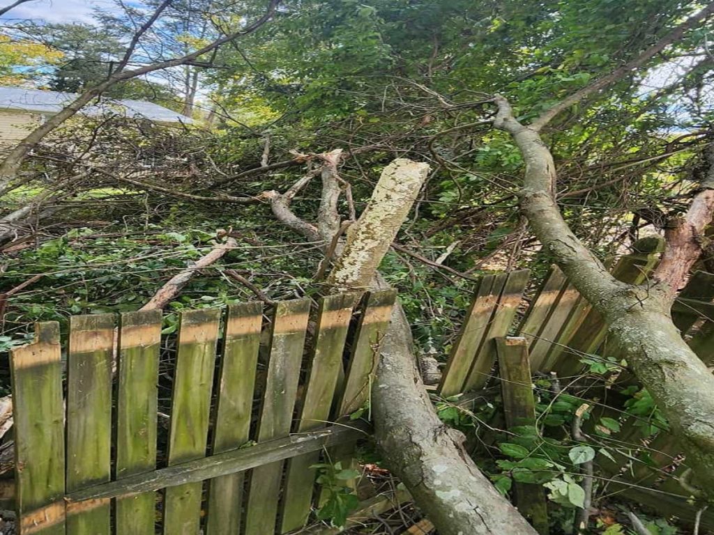 Emergency Storm Clean-Ups