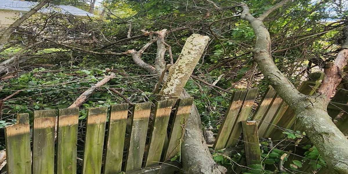 Emergency Storm Clean-Ups