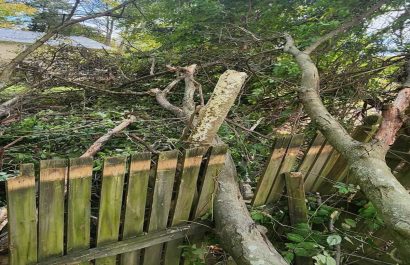 Emergency Storm Clean-Ups