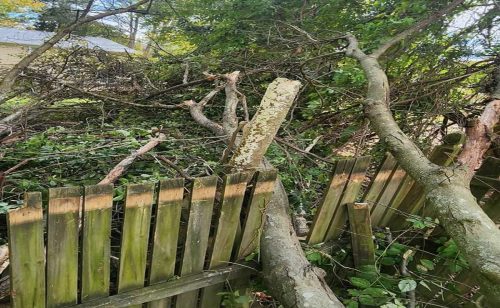 Emergency Storm Clean-Ups