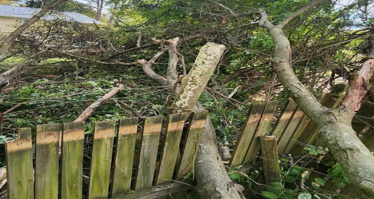 Emergency Storm Clean-Ups