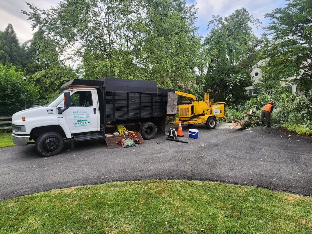 H&E Tree Services slider