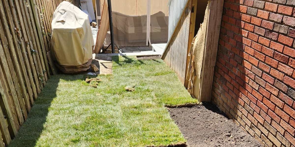 Sod Installation