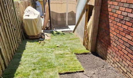 Sod Installation