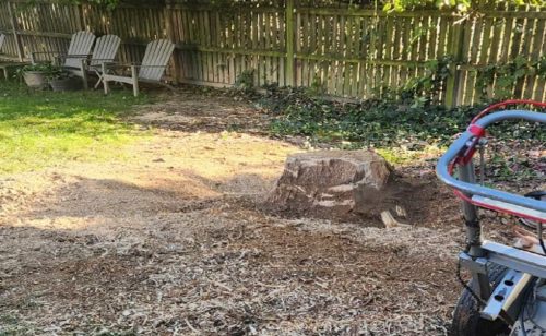 Stump Grinding