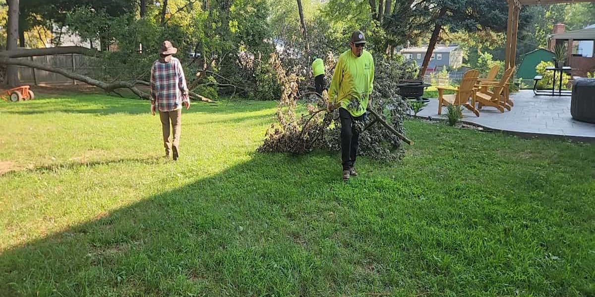 Terms and Conditions