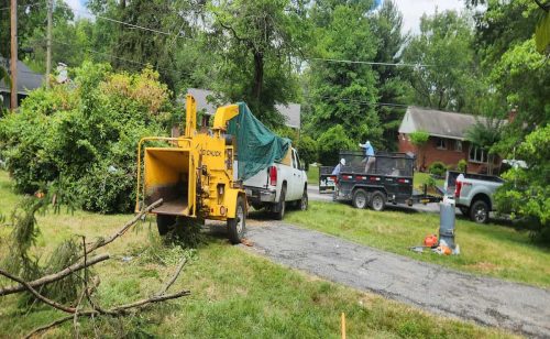 Wood Chipping & Disposal