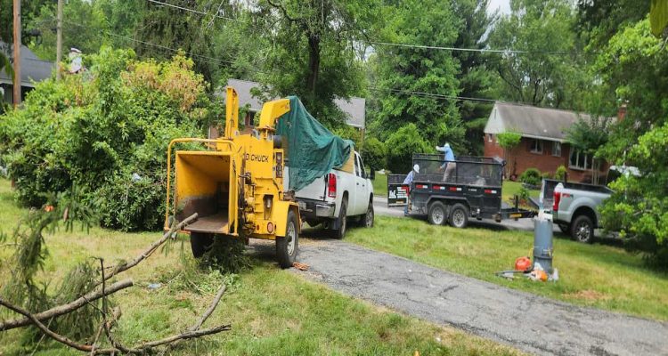 Wood Chipping & Disposal